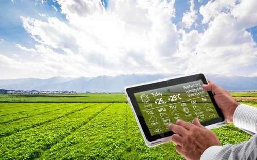 Solusi IoT untuk Masalah Pertanian