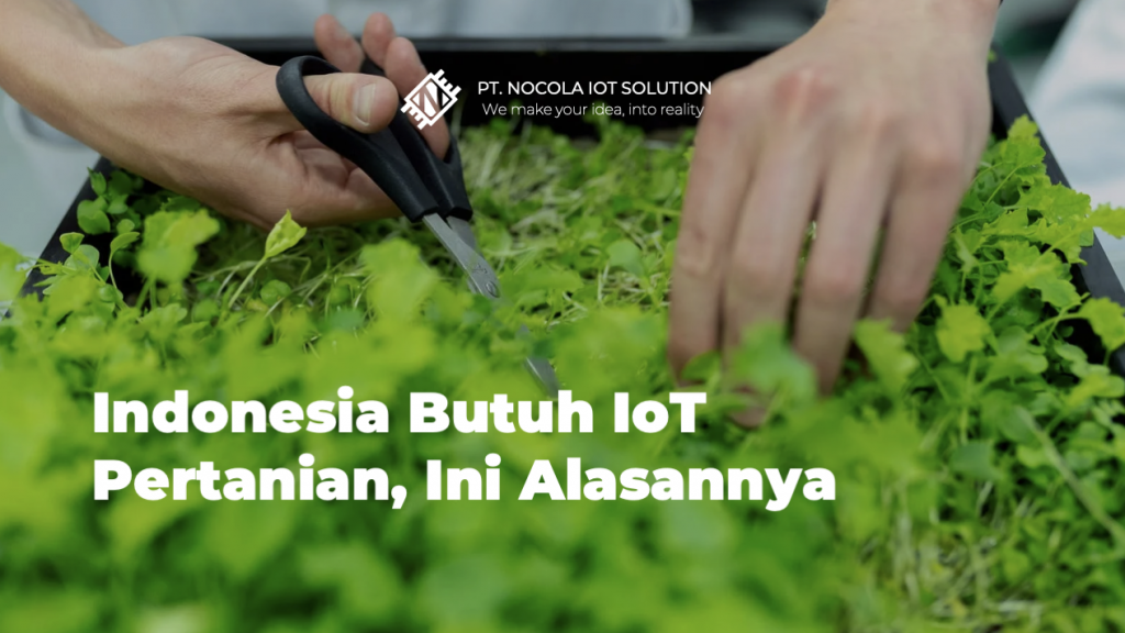 Indonesia Butuh IoT Pertanian, Ini Alasannya