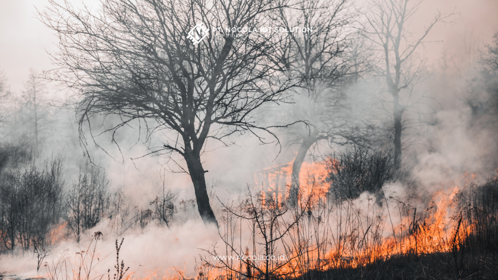 How Smart IoT Sensors Work in Forest Fire Monitoring



Canva