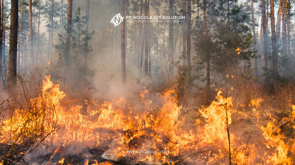 Bagaimana Sensor IoT Pintar Bekerja dalam Pemantauan Kebakaran Hutan




Canva