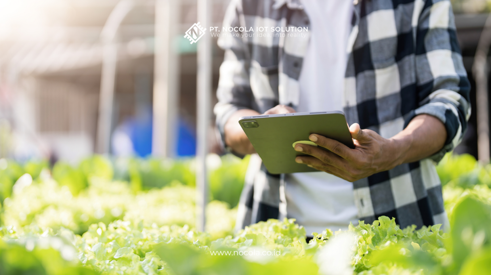 Solusi Smart Farming Nocola: Transformasi Pertanian dengan Teknologi Terkini Canva