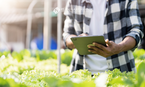 Smart Farming Solutions from nocola: Agricultural Technology