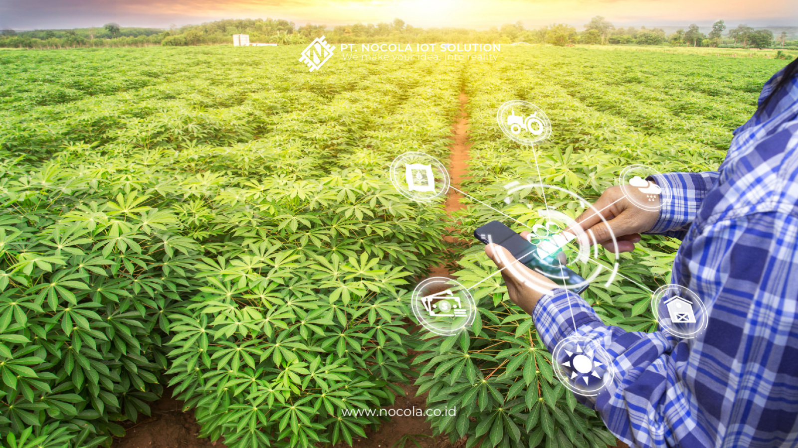 Indonesia Urgently Needs IoT for Agricultural Revolution